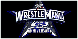 Flash Drive WWE WrestleMania 25