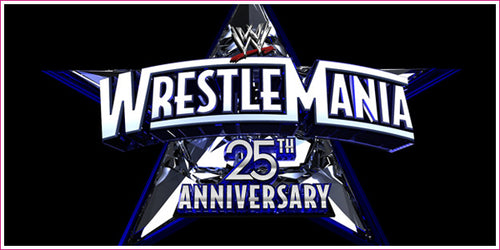Flash Drive WWE WrestleMania 25