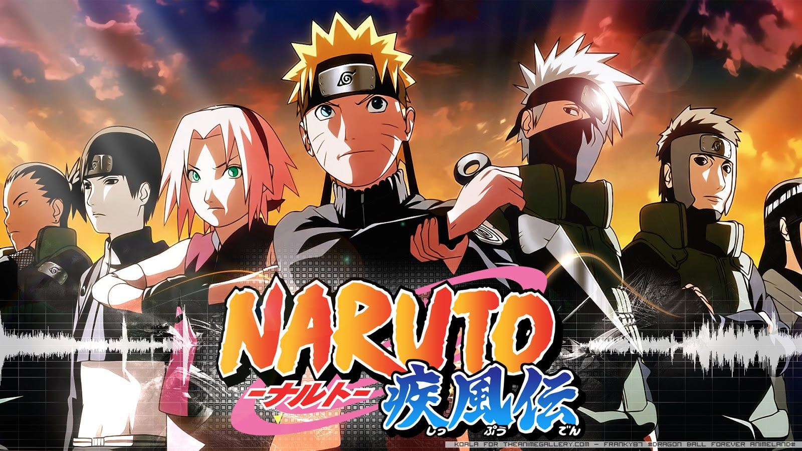 Naruto Shippuden Episodes 243 - 295 English Dubbed / Japanese Seasons 12-13  DVD